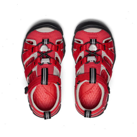 Little Kids' Seacamp II CNX  |  Ribbon Red/Alloy