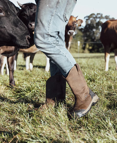 Men's Evanston Pull-On Waterproof Boot (Carbon Toe)  |  Bison/Black