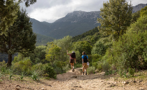Men's Targhee II Waterproof Hiking Boot x Leave No Trace  |  Leave No Trace